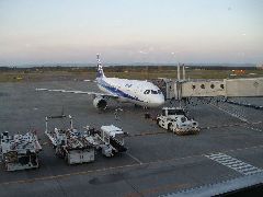 ANA403
