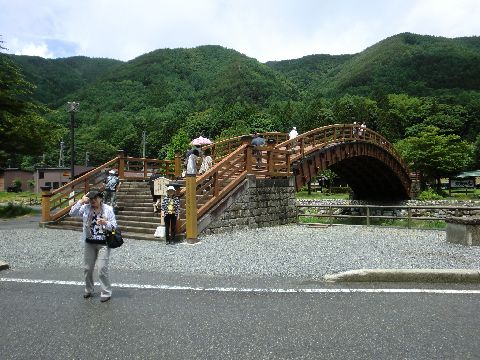 綶