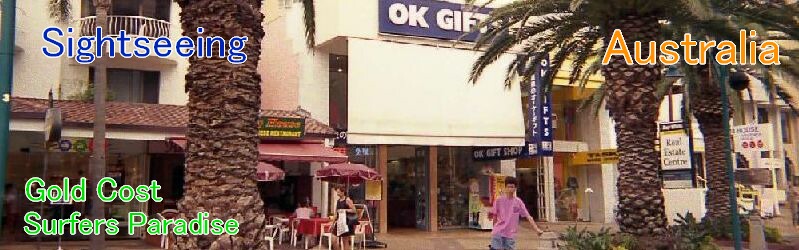 ޥۥС󡡥ɥ
